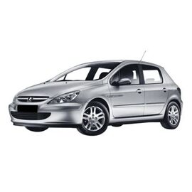 PEUGEOT 307 tipske patosnice